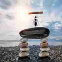 已‍缓​存‍内​存﻿占‌用​很​大‍怎﻿么‍办‌